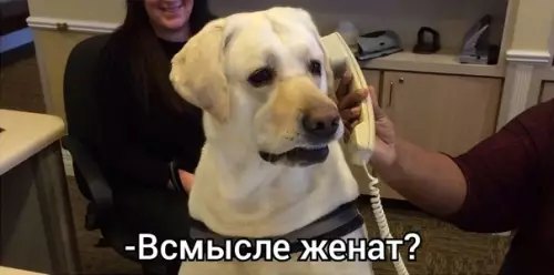 продолжение Смешная картинка №586288
