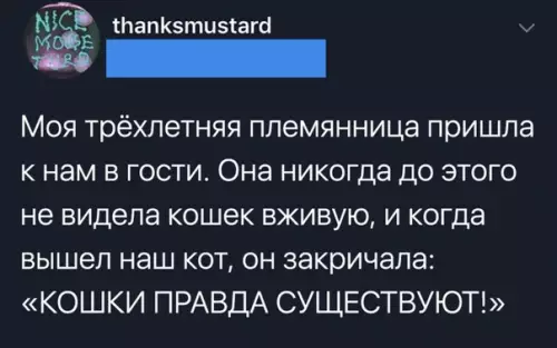 Смешная картинка №512074 дети, кошки