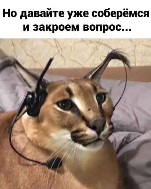 продолжение Смешная картинка №571671