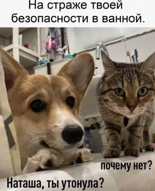Смешная картинка №705084