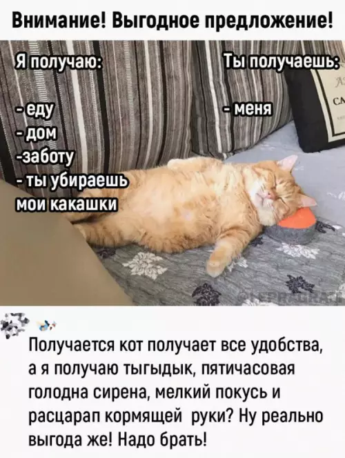 Смешная картинка №654067