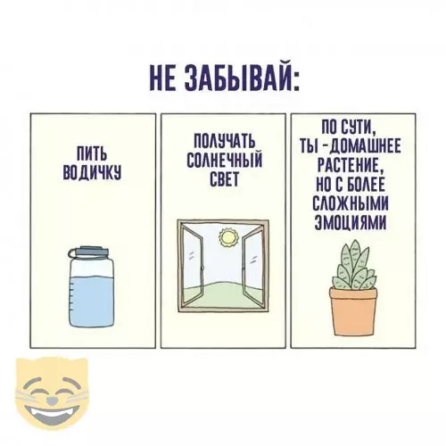 Смешная картинка №339227 #приколы #картинки #мемы ?