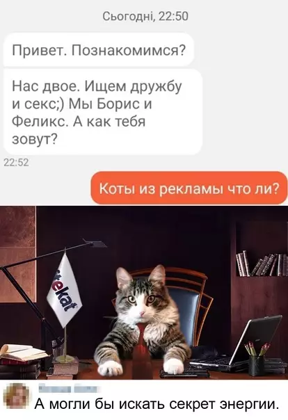 Смешная картинка №577879 Koты вышли в интepнeт