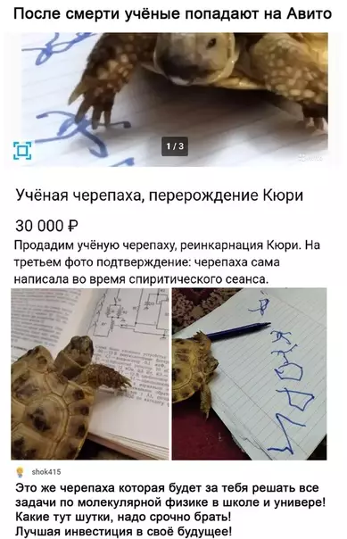 Смешная картинка №512693 Долго длился спиритичечкий сеанс