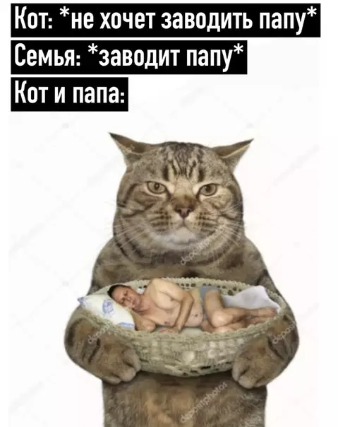 Смешная картинка №498109 Koты и папы