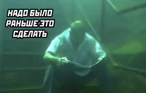 продолжение Смешная картинка №590760