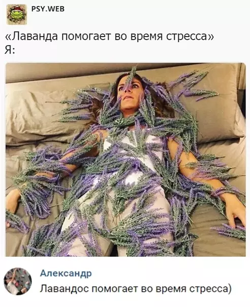 Смешная картинка №334225