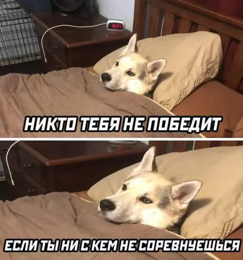 Смешная картинка №719759