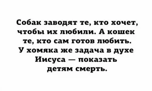 Смешная картинка №214504