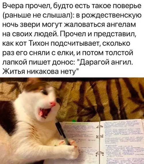 Смешная картинка №707954