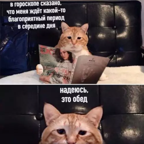 Смешная картинка №686308