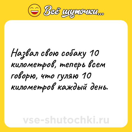 Шутка: Назвал свою собаку 10 километров, теперь всем говорю, что гуляю 10 километров каждый день.