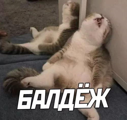 продолжение Смешная картинка №573483