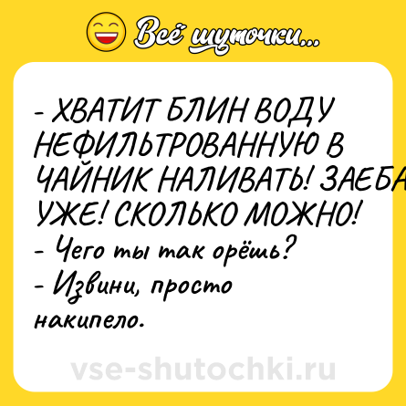 Шутка: - ХВАТИТ БЛИН ВОДУ НЕФИЛЬТРОВАННУЮ В ЧАЙНИК НАЛИВАТЬ! ЗАЕБАЛ УЖЕ! СКОЛЬКО МОЖНО!<br>- Чего ты так орёшь?<br>- Извини, просто накипело.