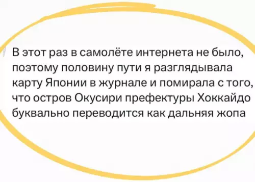 Смешной случай в самолете