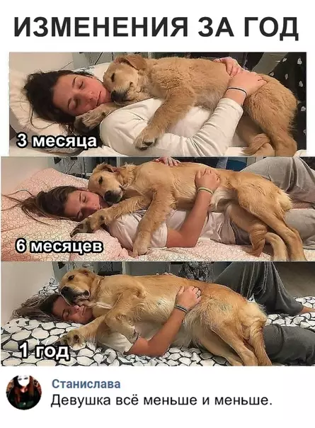 Смешная картинка №320319