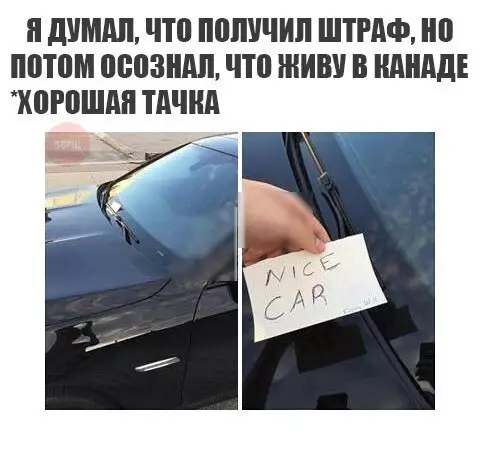 Смешная картинка №247366
