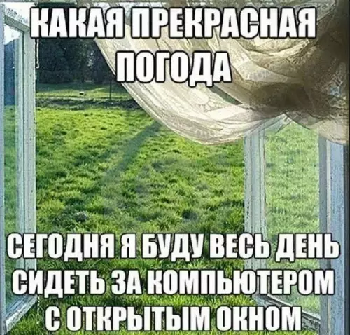 Погода шепчет, а я в монитор ☀️🖥️ - КАКАЯ ПРЕКРАСНАЯ ПОГОДА СЕГОДНЯ Я БУДУ ВЕСЬ ДЕНЬ СИДЕТЬ ЗА