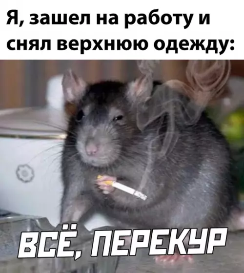 Смешная картинка №553040 работа