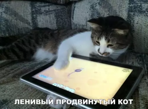 Смешная картинка №242767