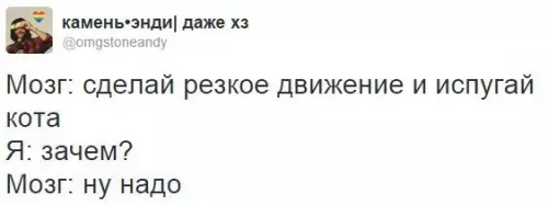Смешная картинка №362936