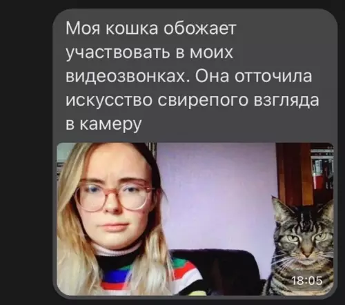 Смешная картинка №586429