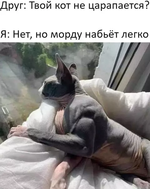 Смешная картинка №512682