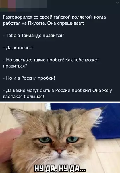Смешная картинка №508587