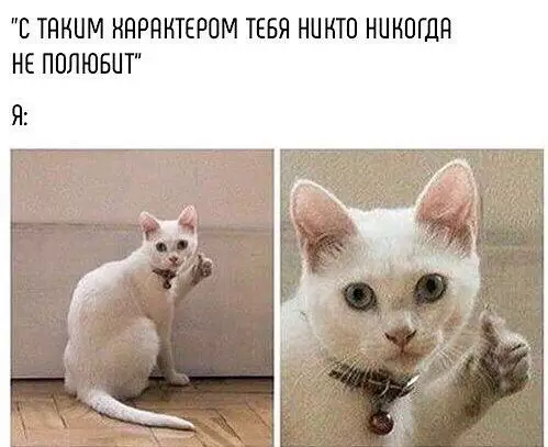 Смешная картинка №262740