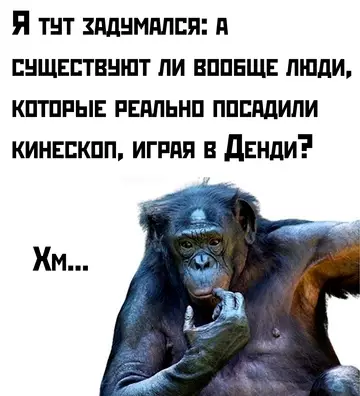 Смешная картинка №760567 Настало время действительно важных вопросов