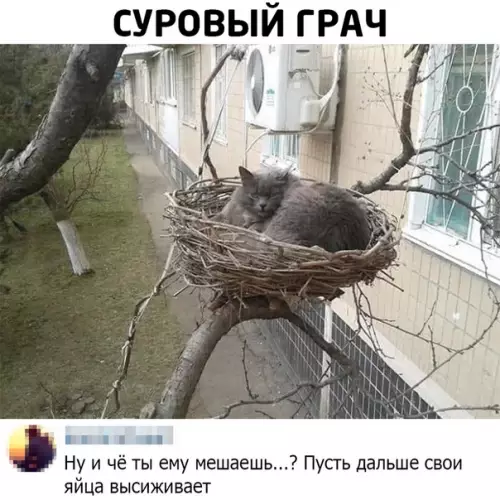 Смешная картинка №481799