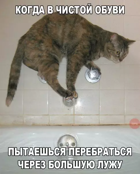 Смешная картинка №299873