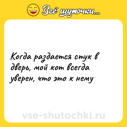 Шутка: Когда раздается стук в дверь, мой кот всегда уверен, что это к нему