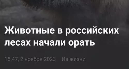 Смешная картинка №717533 Как я их понимаю