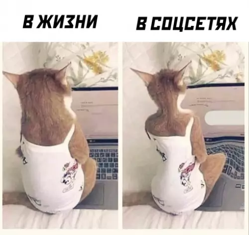 Смешная картинка №702108