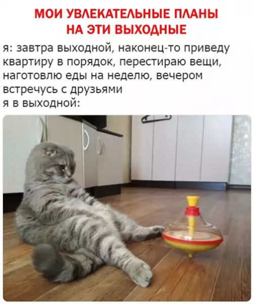 Смешная картинка №539281 И тaк кaждый paз: