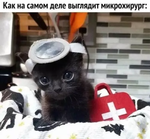 Смешная картинка №771177